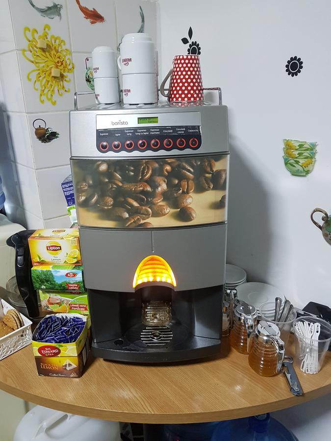 Casa Teilor 3* פיטסטי